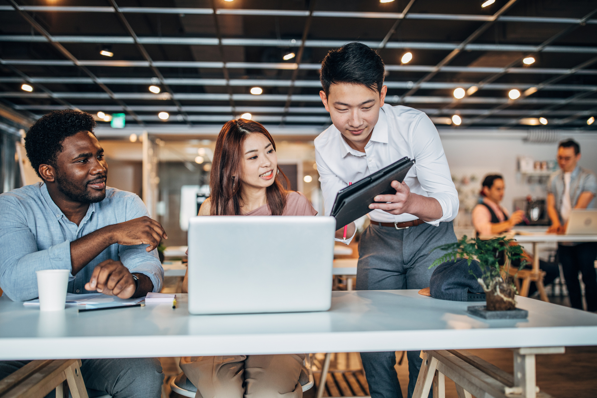 Young people working in office